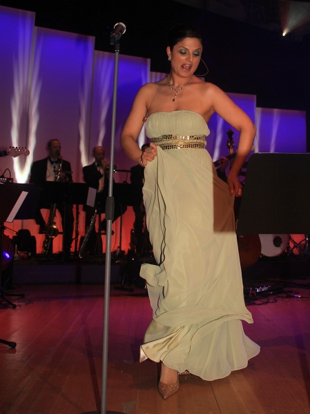 Landespresseball2011 150.jpg